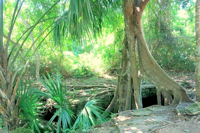 Automatic Buggy Rental 24h Live Cozumel at Your Rhythm - Starting Point: Roosters Rentals in Cozumel