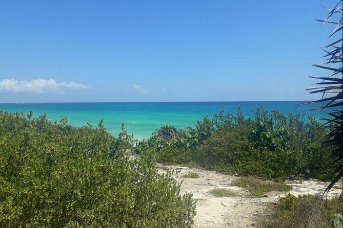 Automatic Buggy Rental 24h Live Cozumel at Your Rhythm - Vehicle Details: Automatic Transmission for Comfort and Ease