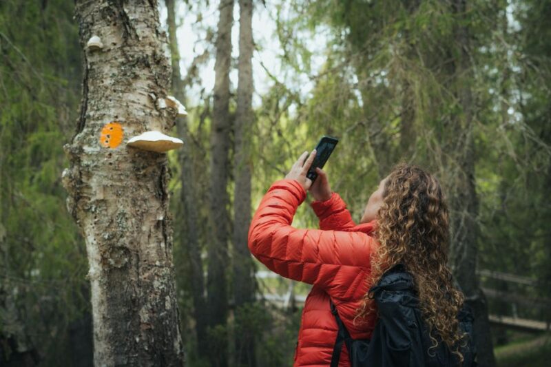 Auttiköngäs Hiking Experience - Logistics: Pickup, Group Size, and Flexibility