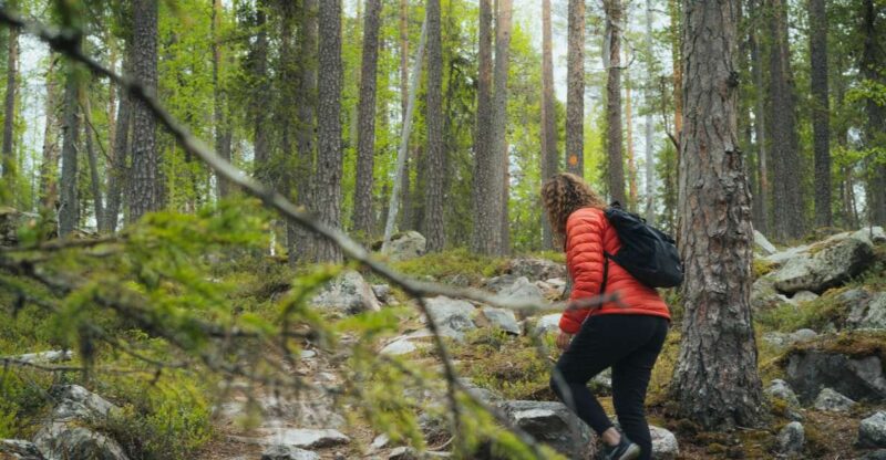 Auttiköngäs Hiking Experience - Final Thoughts on the Auttiköngäs Hiking Experience