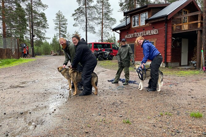 Autumn Husky Sit and Drive Cart Tour from Kiruna - Unique Autumn Husky Sit and Drive Experience in Kiruna