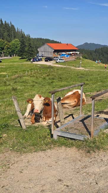 Autumnal Prince's Trail: From Lake Tegernsee to Lake Schliersee with a snack - Discover the Scenic Beauty of Lake Tegernsee and Neureuth