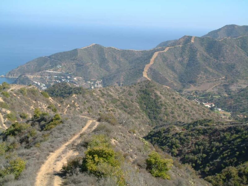 Avalon, Catalina Island: 2-Hour Inside Adventure Tour - Key Points