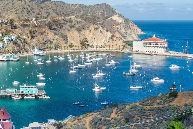 Avalon City: A Self-Guided Audio Tour - Comparing to Other Avalon Experiences