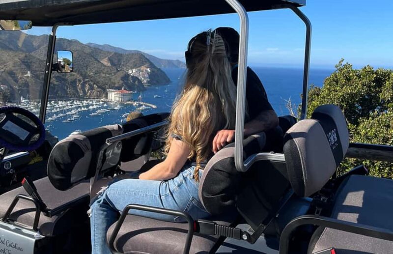 Avalon: Haunted Golf Cart Tour - Key Points
