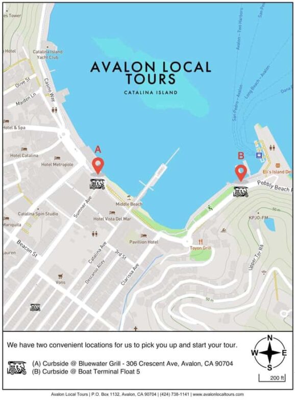 Avalon: Private Golf Cart Tour with Driver-Guide - The Experience of a Joyride in a Luxury Golf Cart