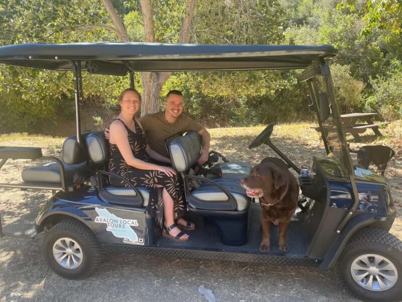 Avalon: Private Golf Cart Tour with Driver-Guide - How This Tour Compares to Other Avalon Experiences