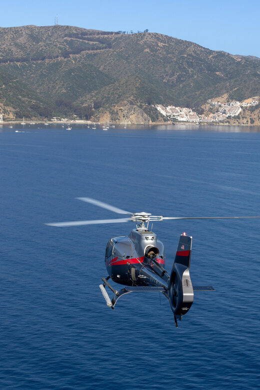 Avalon: Santa Catalina Island Aerial Helicopter Tour - Practical Details: Group Size, Pricing, and Safety