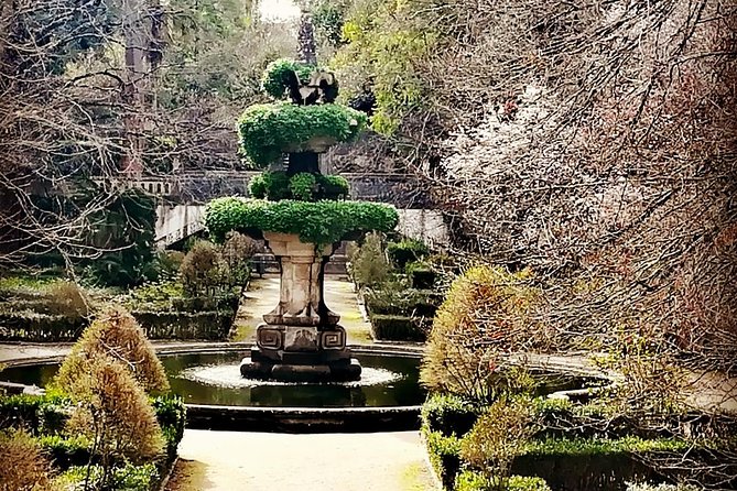 Aveiro and Coimbra Private Tour From Porto - Exploring Aveiro’s Canals and Pedestrian Bridges