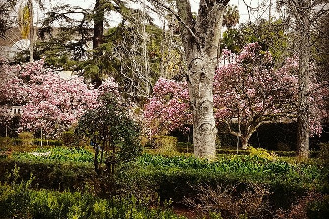 Aveiro and Coimbra Private Tour From Porto - Discovering Coimbra’s Historic University and Library