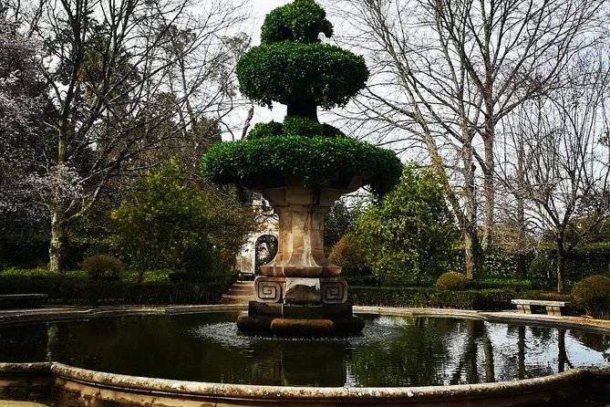 Aveiro and Coimbra Private Tour From Porto - Return Journey to Porto