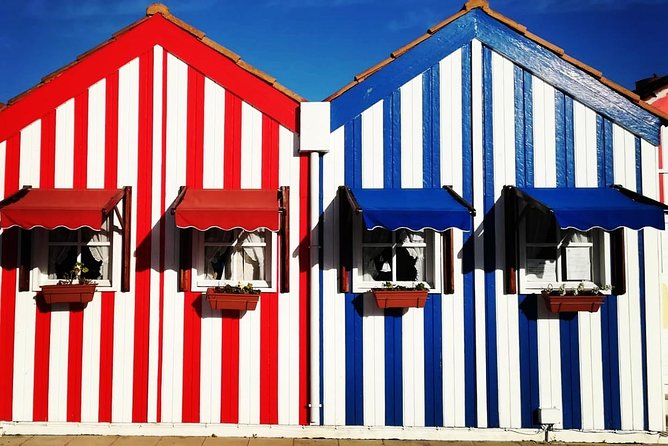 Aveiro and Coimbra Private Tour From Porto - The Expertise of the Guides and Vehicle Comfort