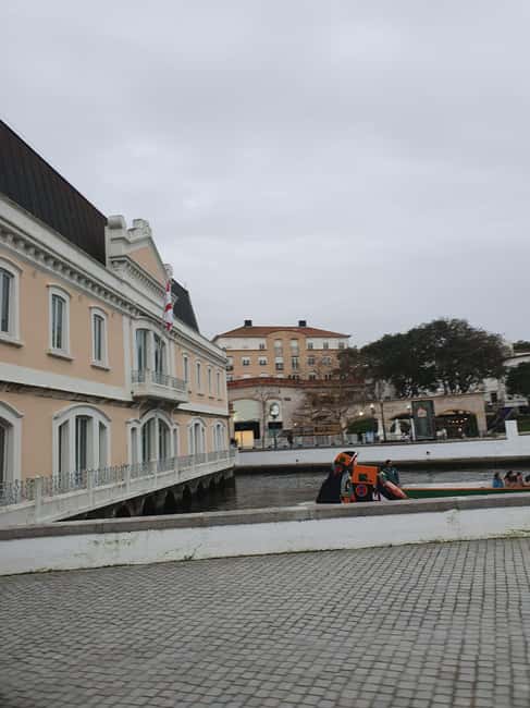 Aveiro and Coimbra private tour from Porto - Visit to Coimbra’s Iconic University and Joanina Library
