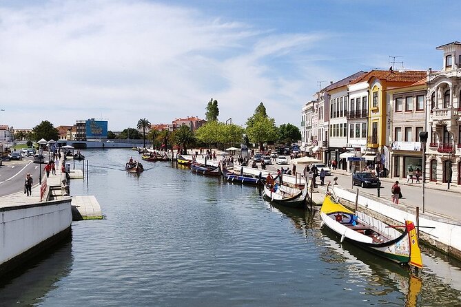 AVEIRO AND NEW COSTA: Private Full-Day Tour from Porto - Why Choose This Tour from WONDERS TOURS