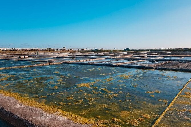 AVEIRO AND NEW COSTA: Private Full-Day Tour from Porto - Frequently Asked Questions