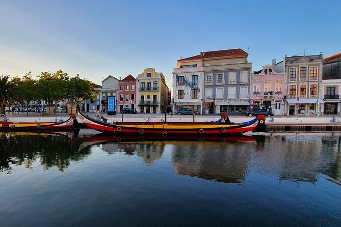 Aveiro Canal Cruise in Traditional Moliceiro Boat - Accessibility and Suitability for Families