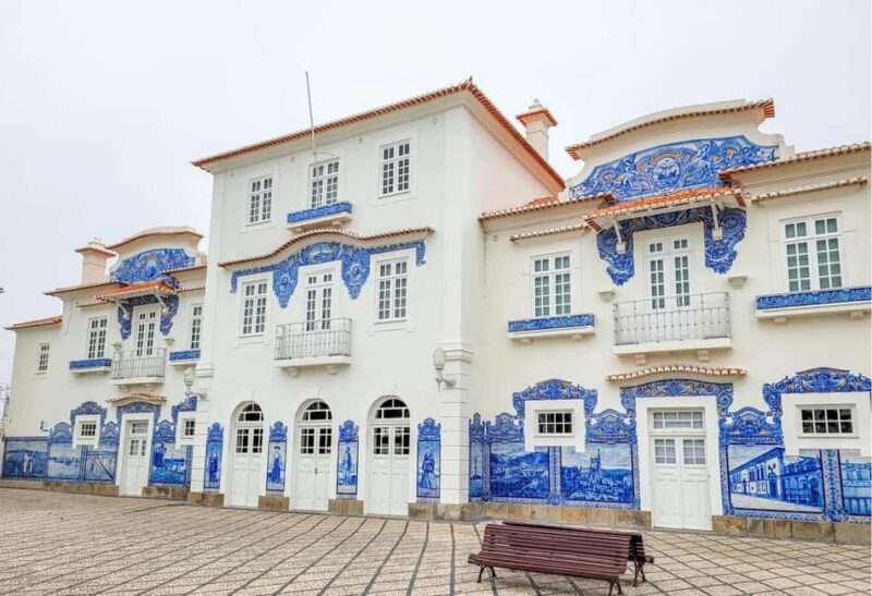 Aveiro City Tour: Private day trip with tickets included. - Key Points