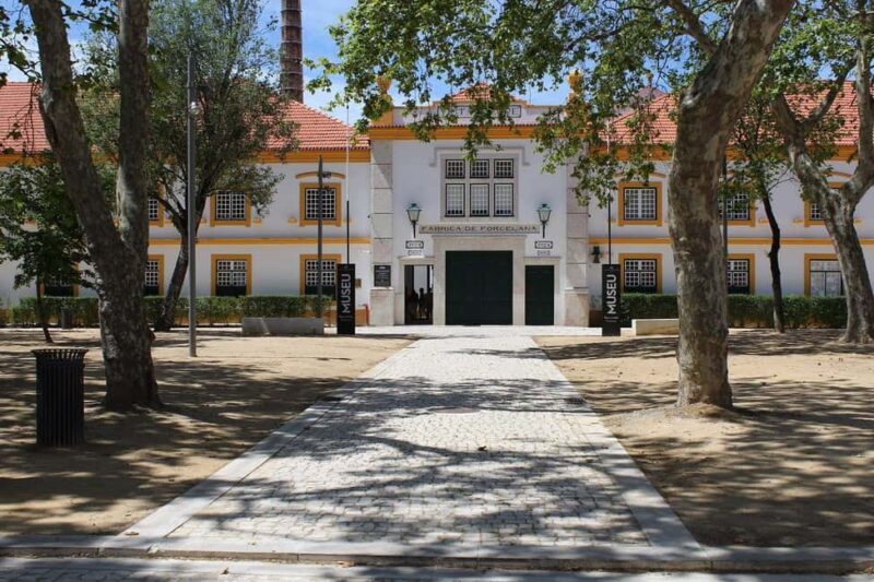 Aveiro City Tour: Private day trip with tickets included. - Visiting the Salt Pans and Understanding Local Salt Production