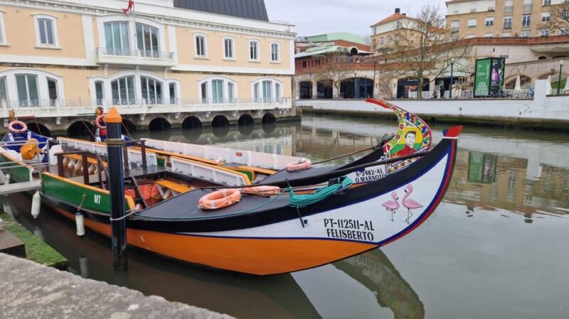 AVEIRO, COSTA NOVA E COIMBRA: Private Tour from Porto - Transitioning from Aveiro to Coimbra