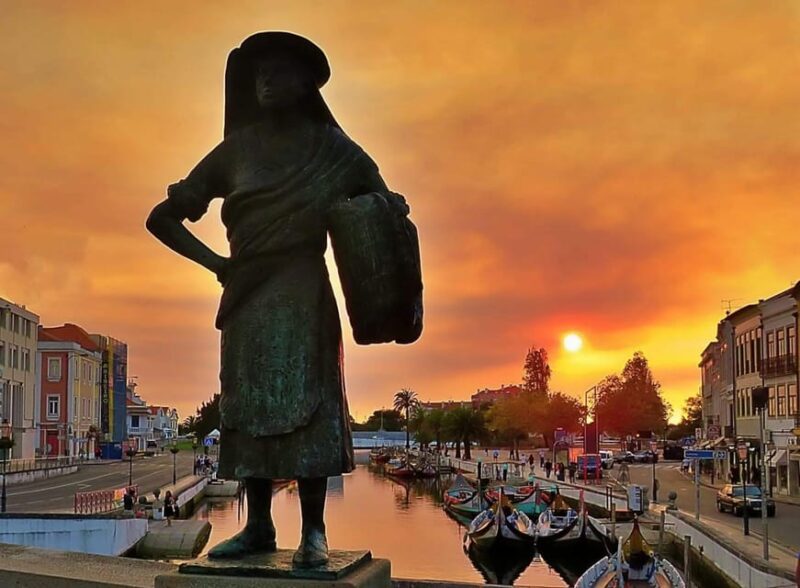 AVEIRO, COSTA NOVA E COIMBRA: Private Tour from Porto - Return Journey and Reflection in Porto