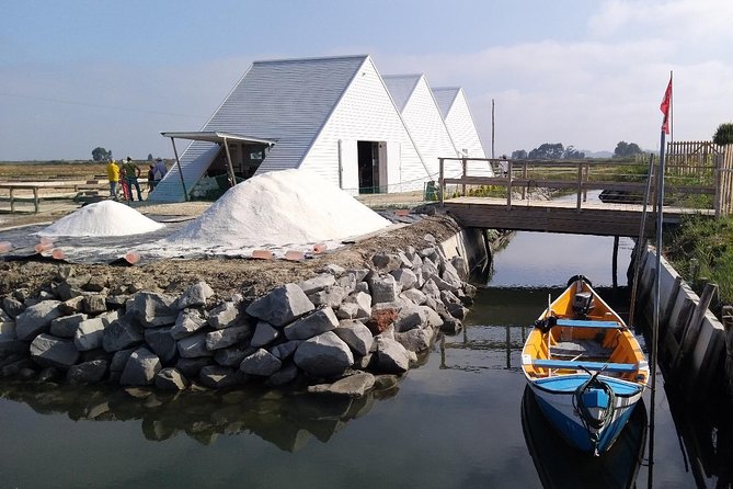 Aveiro & Costa Nova Private Tour  Canals & Striped Houses - Discovering Aveiro’s Canal-Lined Streets and Art Nouveau Architecture