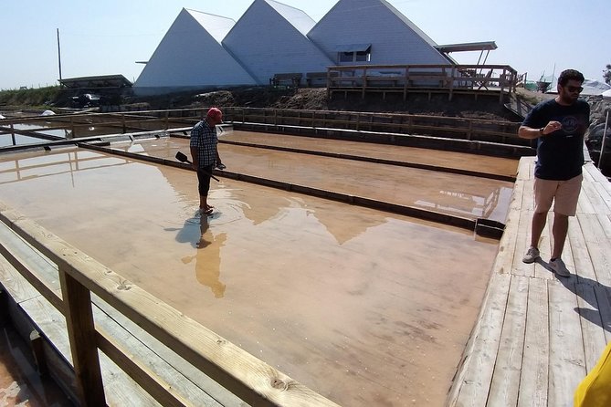 Aveiro & Costa Nova Private Tour  Canals & Striped Houses - Riding on a Traditional Moliceiro Boat in Aveiro