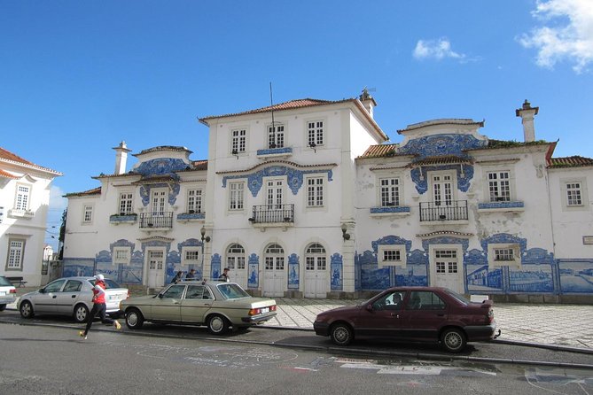 Aveiro & Costa Nova Private Tour  Canals & Striped Houses - Viewing Aveiro’s Art Nouveau and Religious Architecture