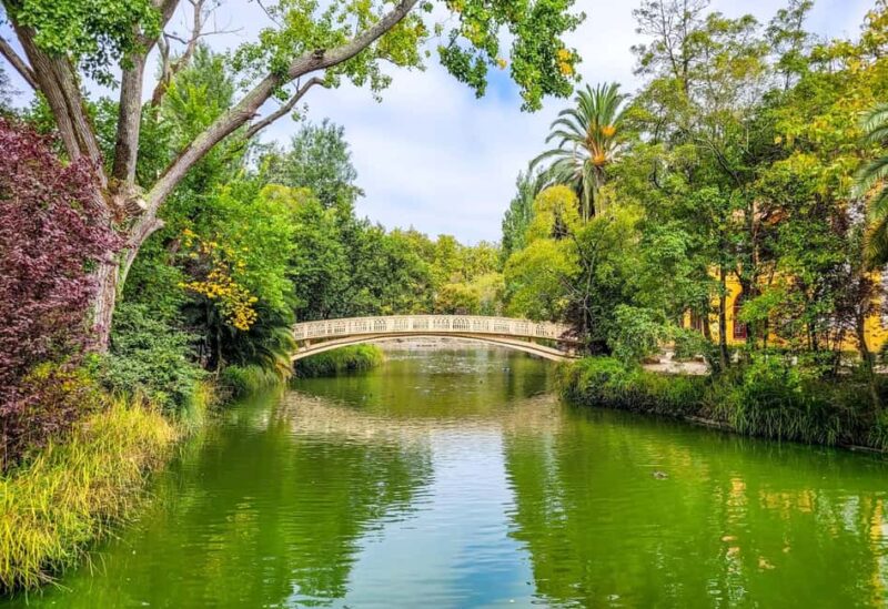 Aveiro: Cruise, Museums & Heritage  Tickets Included - Ílhavo’s Maritime and Salt Heritage