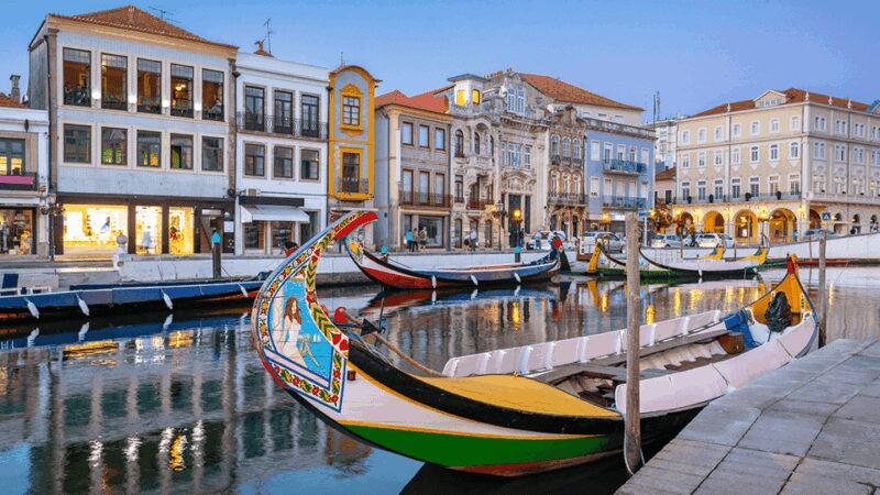 AVEIRO E COSTA NOVA: Private Full-Day Tour w/Boat from Porto - Who Will Enjoy This Tour the Most?