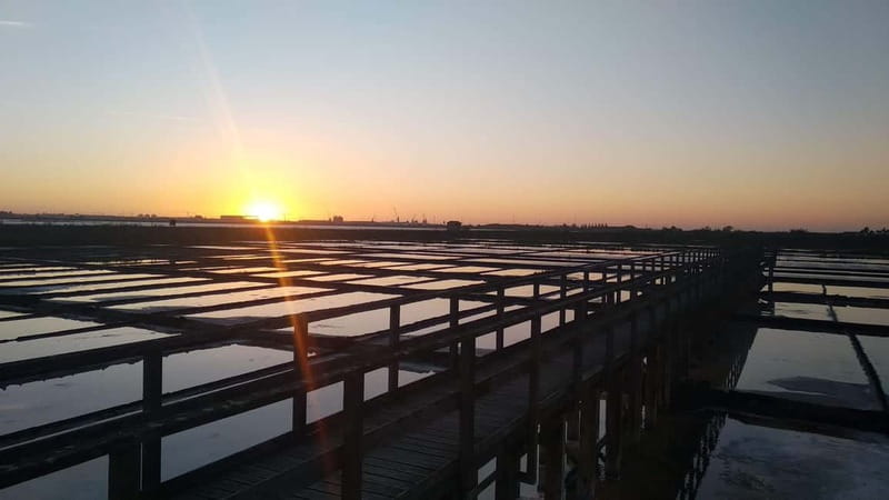 Aveiro Essential: Boat, Walking Tour, Sweets & Ribbons - Discovering Aveiro’s Historic Canals and Landmarks