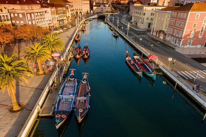 Aveiro Half Day Private Tour Porto w/ Moliceiro River Cruise - The Iconic Barra Lighthouse and Scenic Return