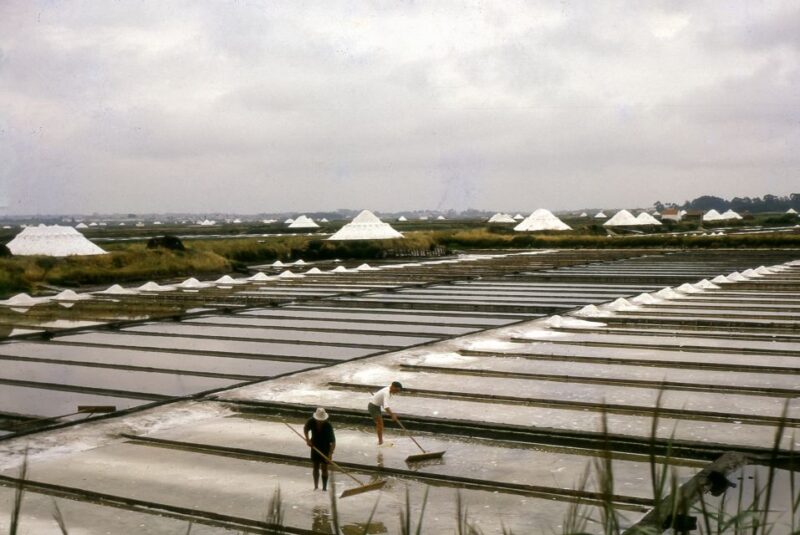 Aveiro: Half Day Tour with Boat Ride - Visiting Costa Nova’s Colorful Houses