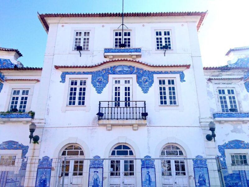 Aveiro: Half Day Tour with Boat Ride - Guides Who Make the Difference