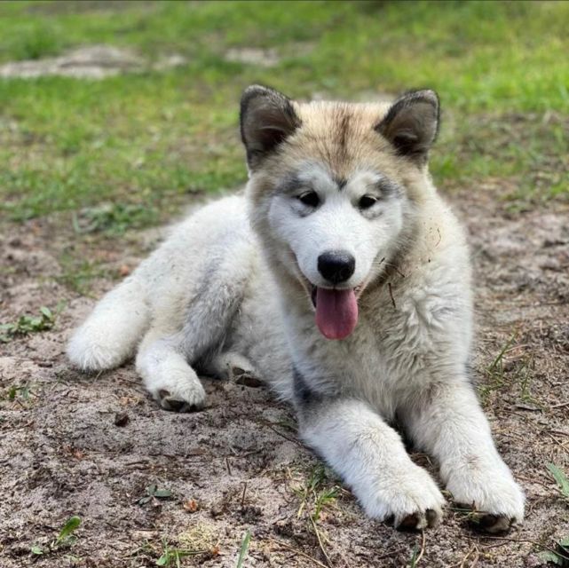 Aveiro: Horseback Riding at a Pedagogical Farm - Exploring the Pedagogical Farm and Its Animal Residents