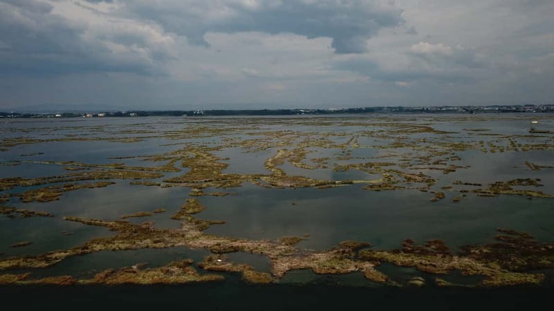 Aveiro: Ria Highlights Boat Tour - The Starting Point at Praias da Ria