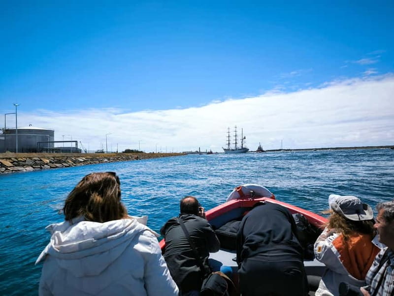 Aveiro: Ria Highlights Boat Tour - Colorful Moliceiro Boats and Cultural Heritage