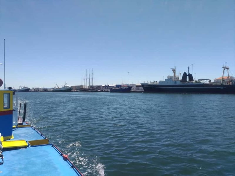 Aveiro: Ria Highlights Boat Tour - Wildlife Encounters: Birds, Dolphins, and Otters