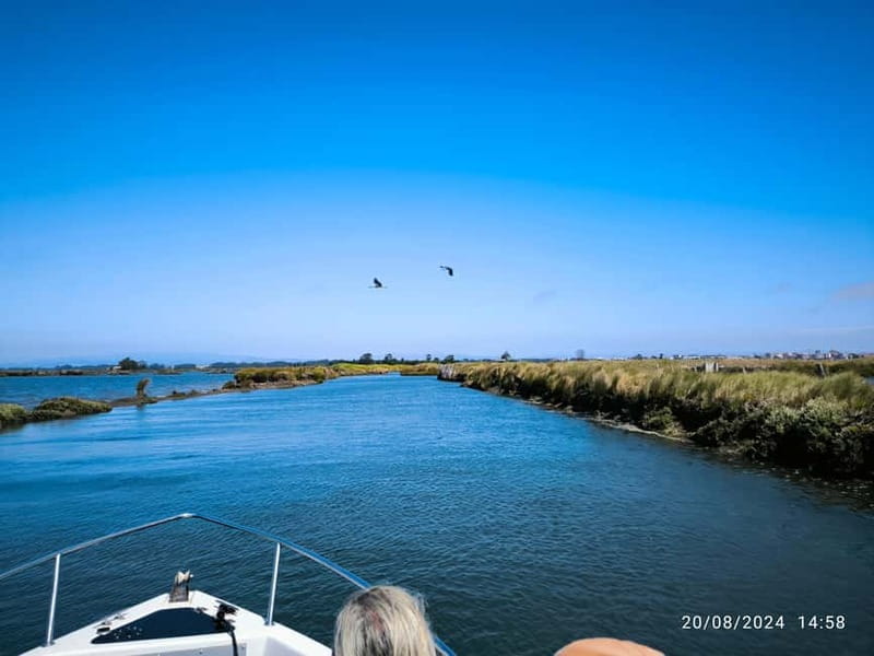 Aveiro: Ria Highlights Boat Tour - High Ratings and Consistent Praise