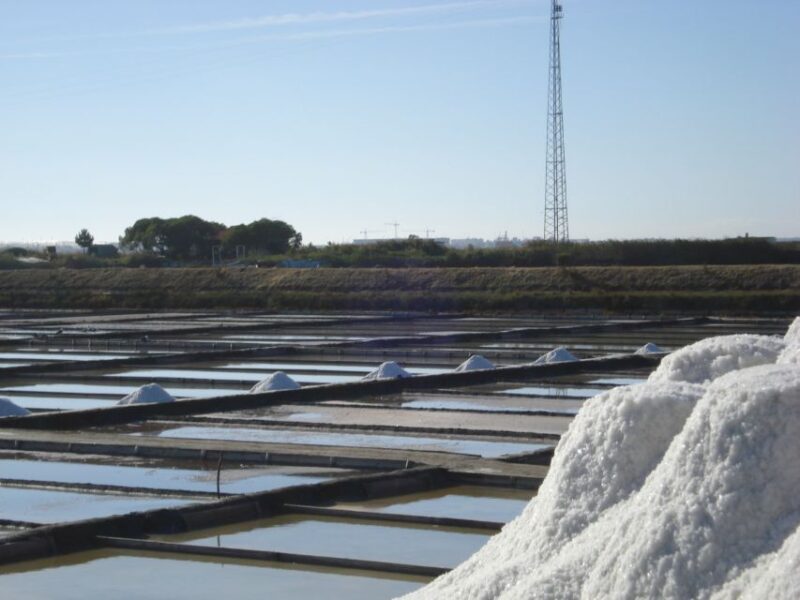 Aveiro: Walking Tour, Boat Cruise, Sweets & Church Entrance - Visiting Sacred Landmarks and the Carmelita Church