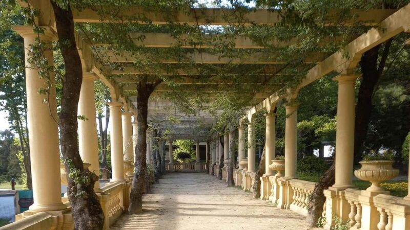 Aveiro Walking Tour (with a certified guide. Sweet included) - Discover Aveiro’s Historic and Architectural Highlights