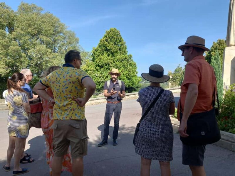 Avignon: City Walking Tour with Popes Palace Entry - Inside the Pope’s Palace: Europe’s Largest Gothic Fortress