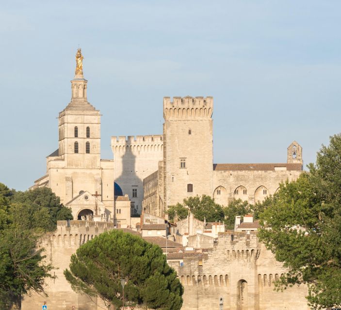 Avignon: City Walking Tour with Popes Palace Entry - Discovering the Town Hall and the Painted Windows