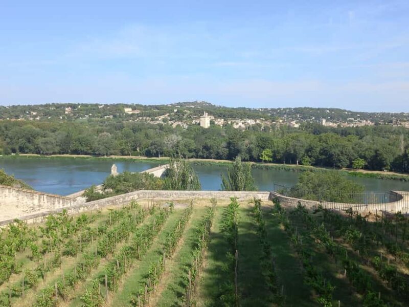 Avignon: City Walking Tour with Popes Palace Entry - Highlights Based on Positive Feedback