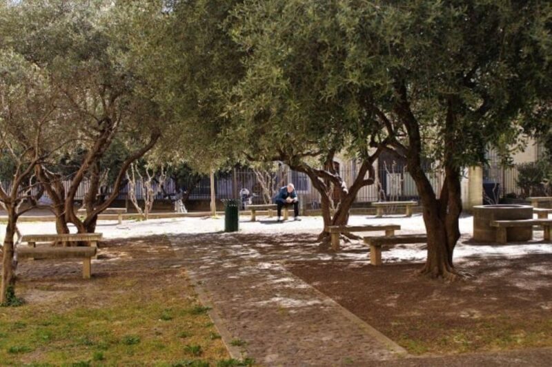 Avignon: Emblematic Squares Tour - Discovering Roman Ruins and Medieval Streets