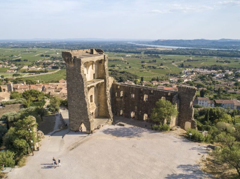 Avignon: Full-Day Châteauneuf du Pape Wines & Luberon Tour - Free Time and Exploring Gordes