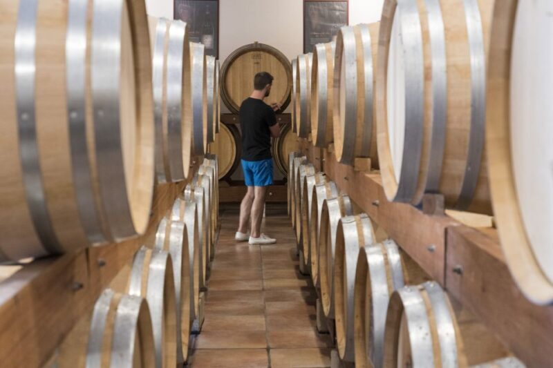 Avignon: Full-Day Châteauneuf du Pape Wines & Luberon Tour - Practicalities: Transportation, Group Size, and Booking