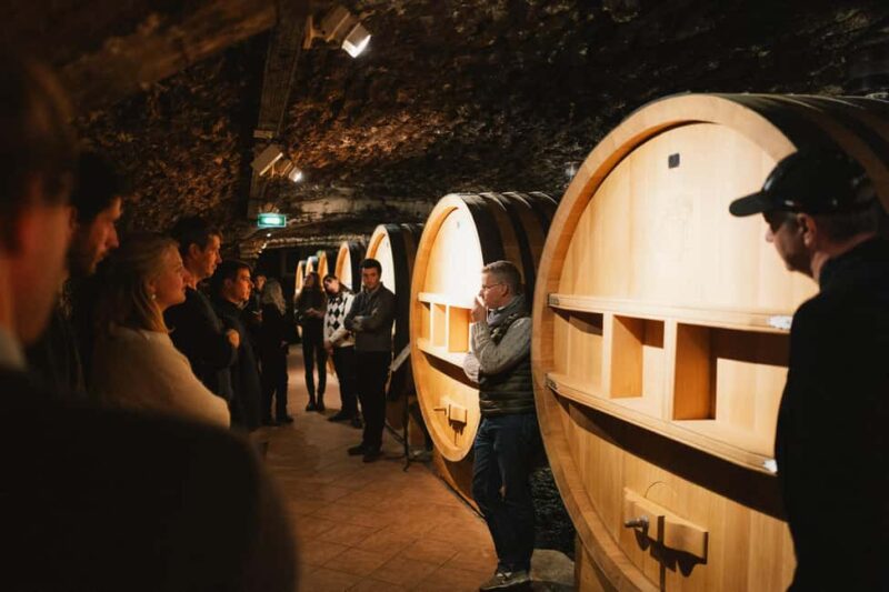Avignon : Full day Truffles and Chateauneuf-du-Pape Wines - Introduction to the Full-Day Truffles and Wines Tour from Avignon