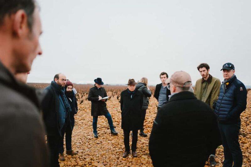 Avignon : Full day Truffles and Chateauneuf-du-Pape Wines - Lunch Featuring a Full Menu and Local Wine