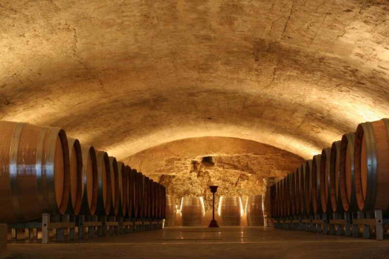 Avignon: Full-Day Wine Tour around Châteauneuf-du-Pape - Pacing and Group Size