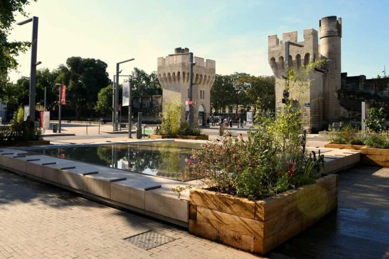 Avignon: Private Walking Tour  Discover History & Heritage - Pacing and Physical Considerations